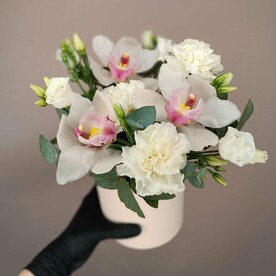 Орхидеи в коробке