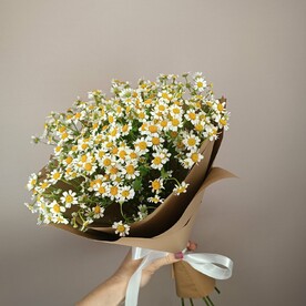 Летние ромашки