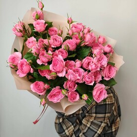 Яркие кустовые розы Софи Бейби