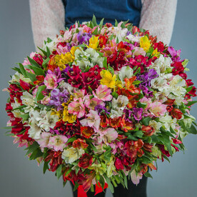 Букет из 101 альстромерии микс, арт: 187