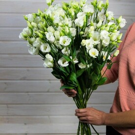 Букет из 15 эустом, арт: 931