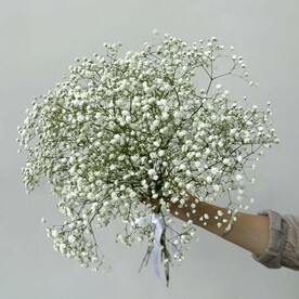 Букет цветов из 7 гипсофил, букет невесты из белой гипсофилы, арт: 1779