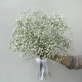 Букет из 9 гипсофил, белые цветы, монобукет из живых цветов на праздник, арт: 1780