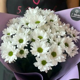 Букет живых цветов - 5 белых хризантем | 5 Цветов - доставляем радость, арт: 1410