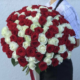 101 роза красно-белая 50 см, арт: 262