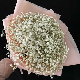 Облако белой гипсофилы