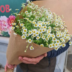 Эко-букет ромашки