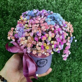 Радужная гипсофила в коробочке