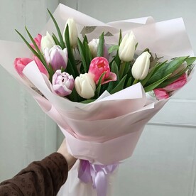 15 Тюльпанов (2)