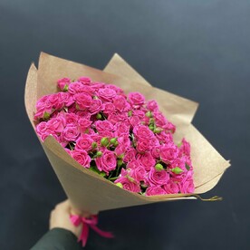 Малиновая Брунеля