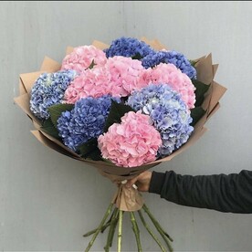 Дикий Жасмин