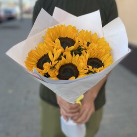 Подсолнух-5