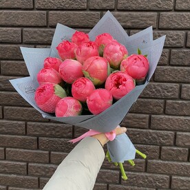 Пионы Коралловые