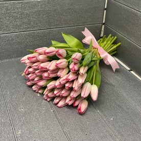 Нежное утро