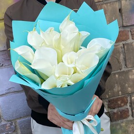 Калла белый