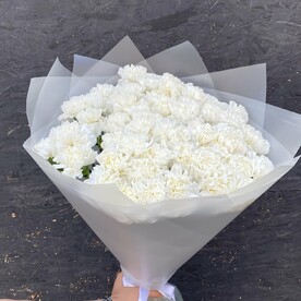 Гвоздика белая