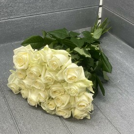 Роза аваланж 21