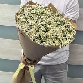 Ромашка кустовая в крафте