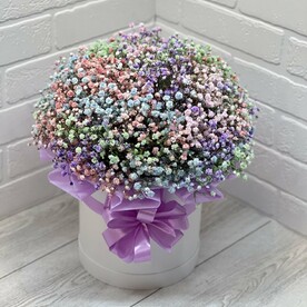 Гипсофила радужная