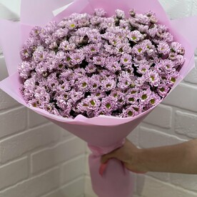 Сантини кустовая