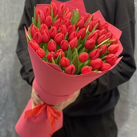Красный тюльпан в красной упаковке