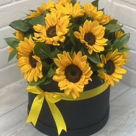 Подсолнух в коробке