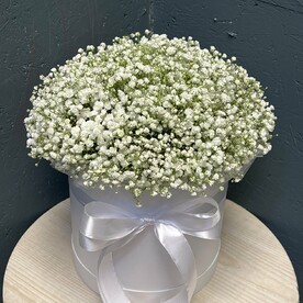 Белая гипсофилла в белой коробке