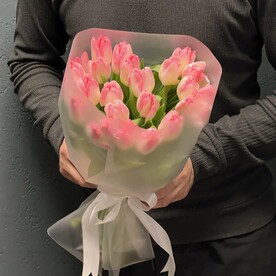 Нежные тюльпаны 🌷