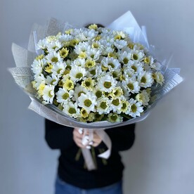 Солнечные хризантемы