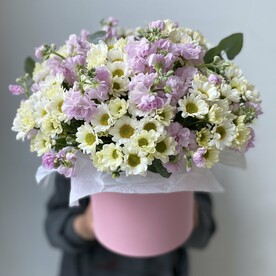 Ромашки и хризантемы