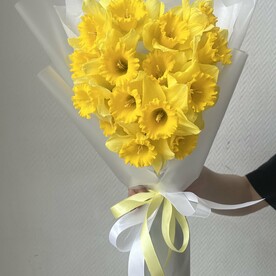 Солнечные нарциссы