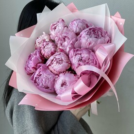 Пионы «Сара Бернар»