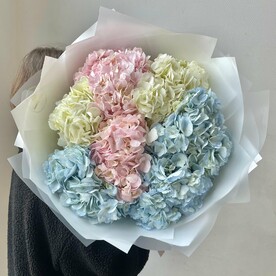 Разноцветные гортензии