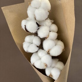 Белый хлопок