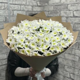 Хризантемы