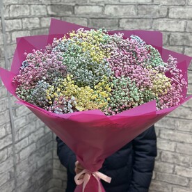 Радужная ГИПСОФИЛА