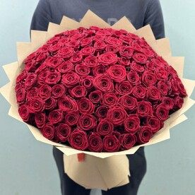 Классика 101 в бумаге