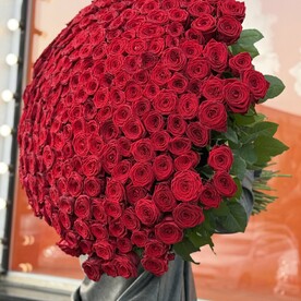 Вип букет из 251 Роз