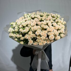 Кремовые кустовые розы