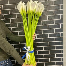 Букет из 25 белых Калл