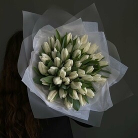 🤍51 белый тюльпан