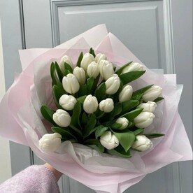 25 белых тюльпанов