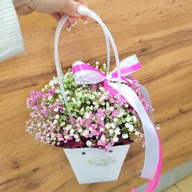 Сумочка с гипсофилой