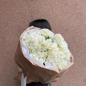 Гортензии белоснежные символ любви и чистоты