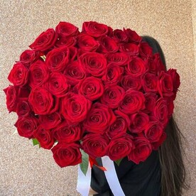 51 роза бархатная