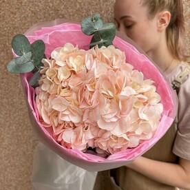 Стильная гортензия