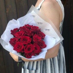 Роза красная Эксплорер