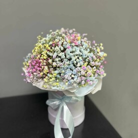 Коробочка с гипсофилой