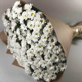 Тополиный пух