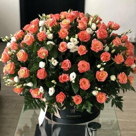 Кораловый риф